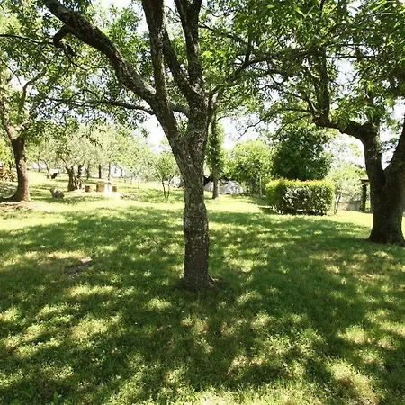 別荘 Haus Gasparini ポレッチ